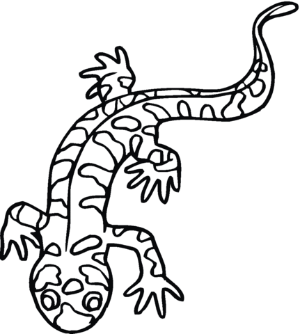 Tiger Salamander Coloring Page